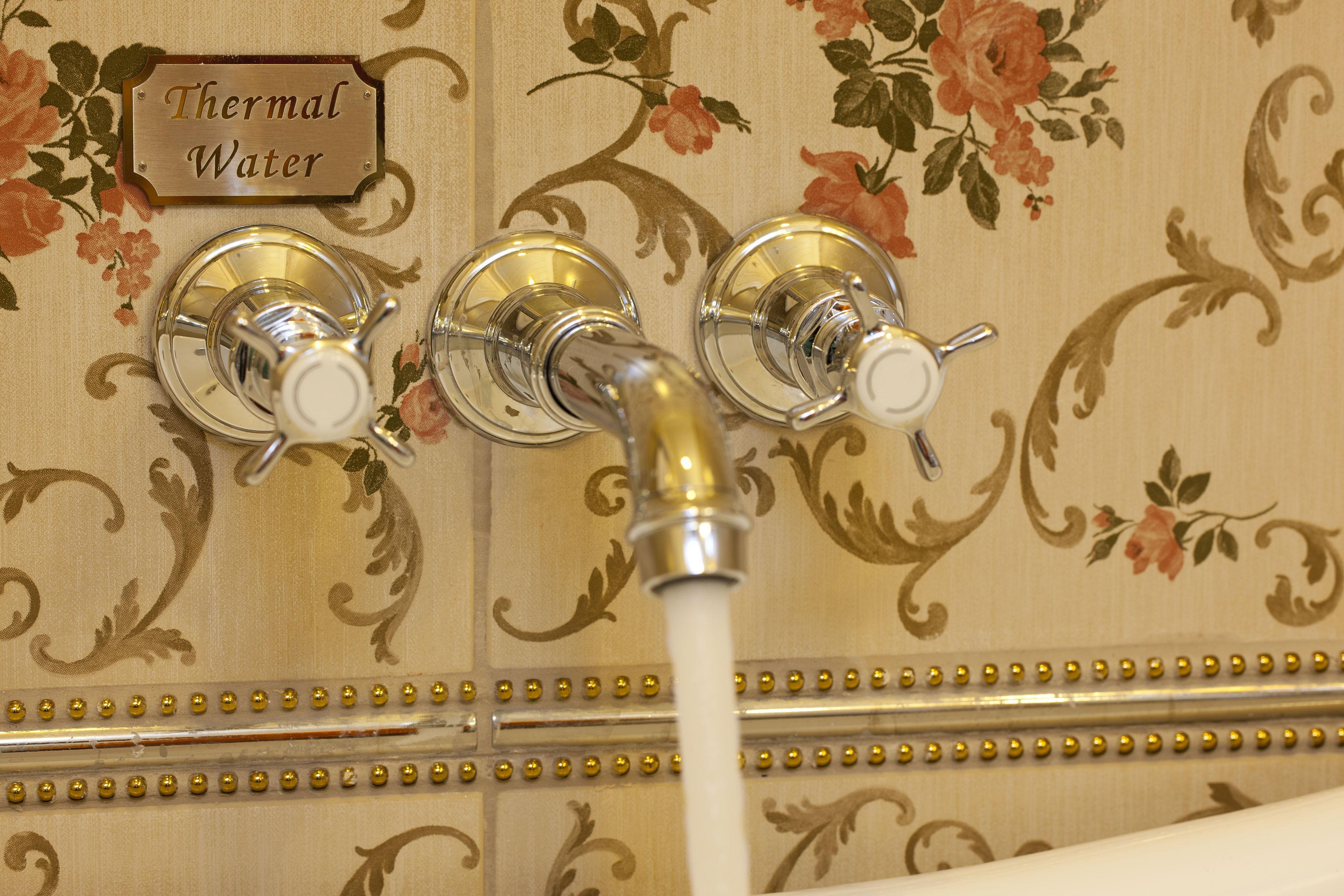 Limak Yalova Thermal Boutique Hotel Gokcedere Buitenkant foto
